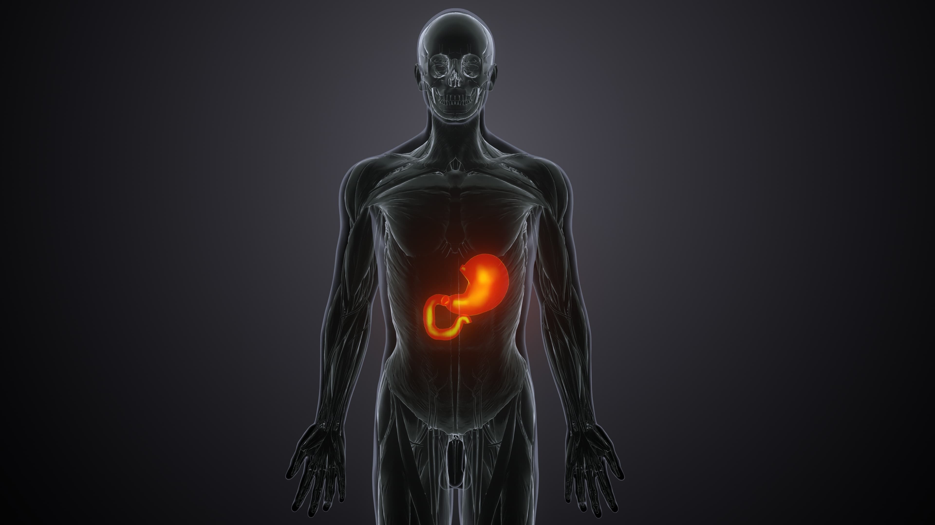 Clinical illustration representing metabolic health markers — glucose, insulin, visceral fat and liver