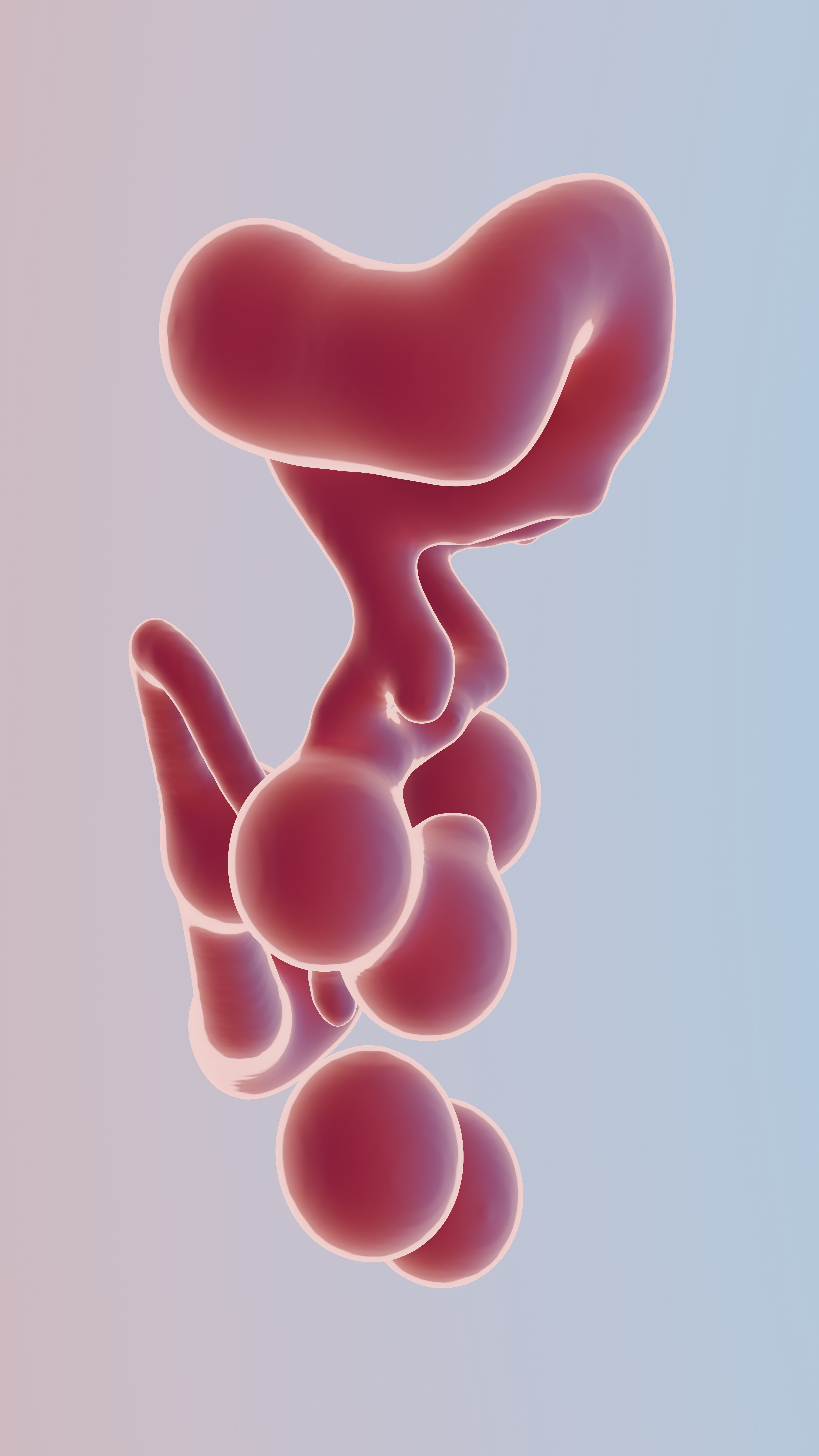 Cholesterol — 168 mg/dL Total · Optimal