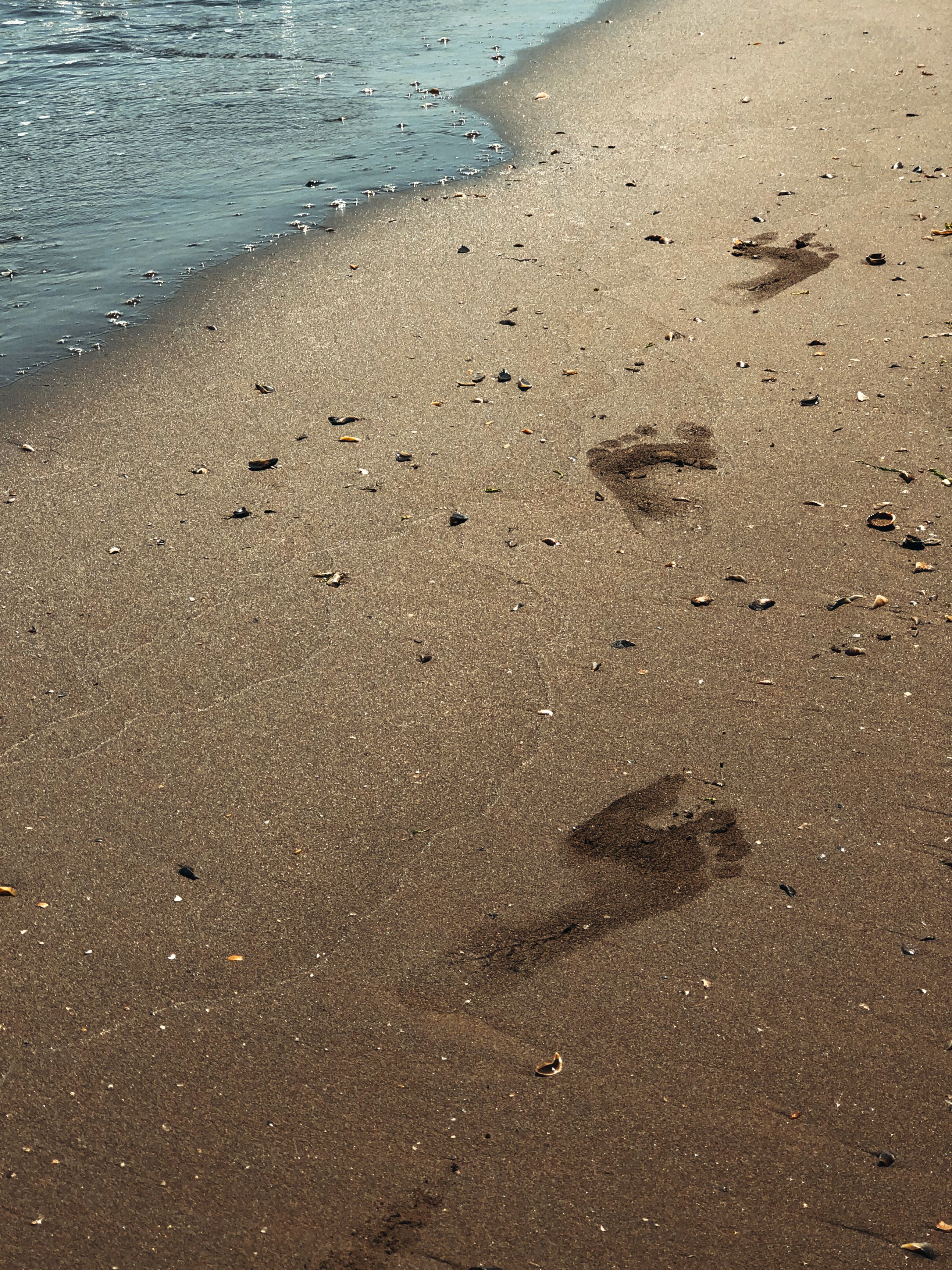 Foot Health — undefined
