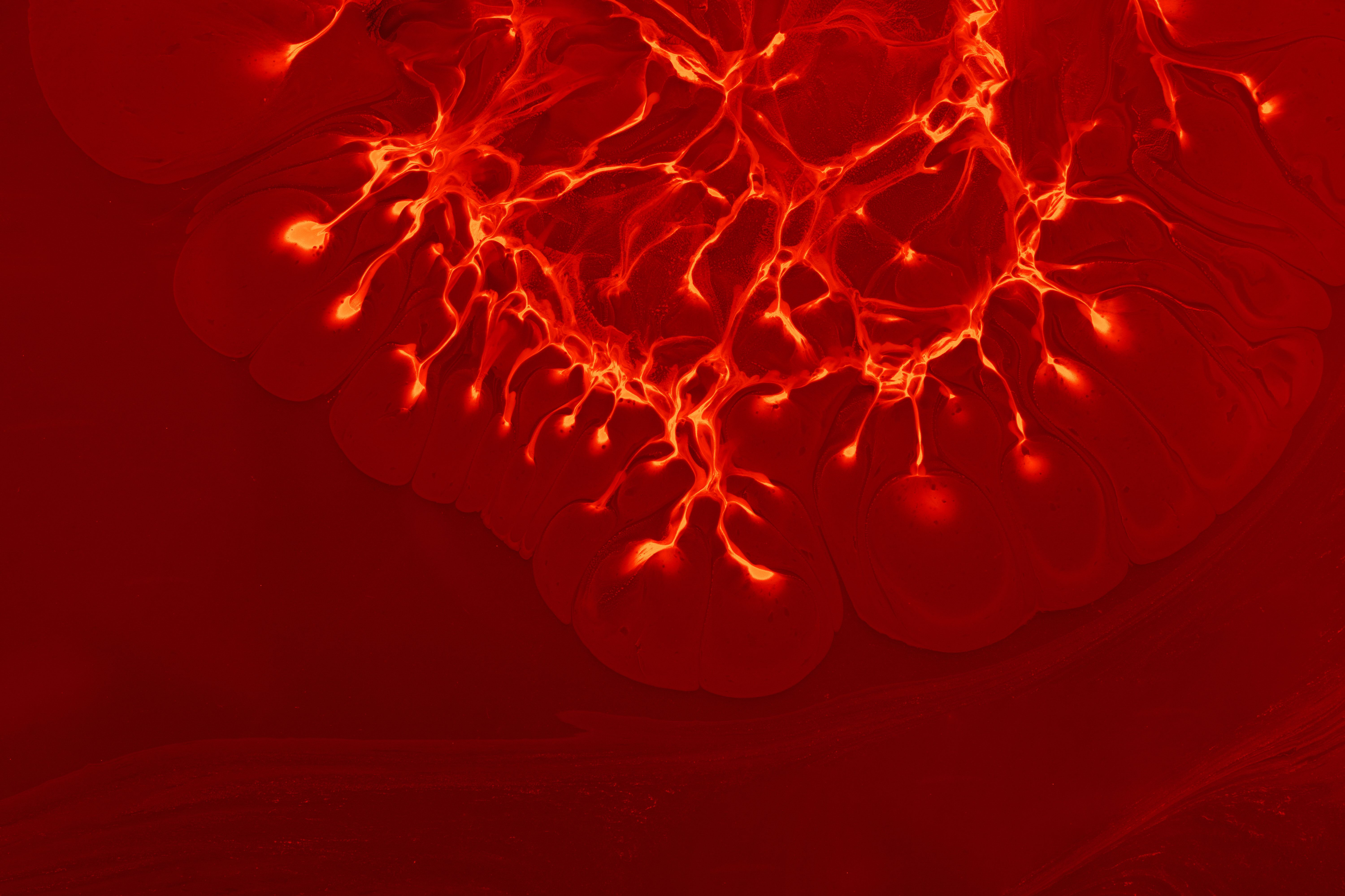 Inflammation — undefined