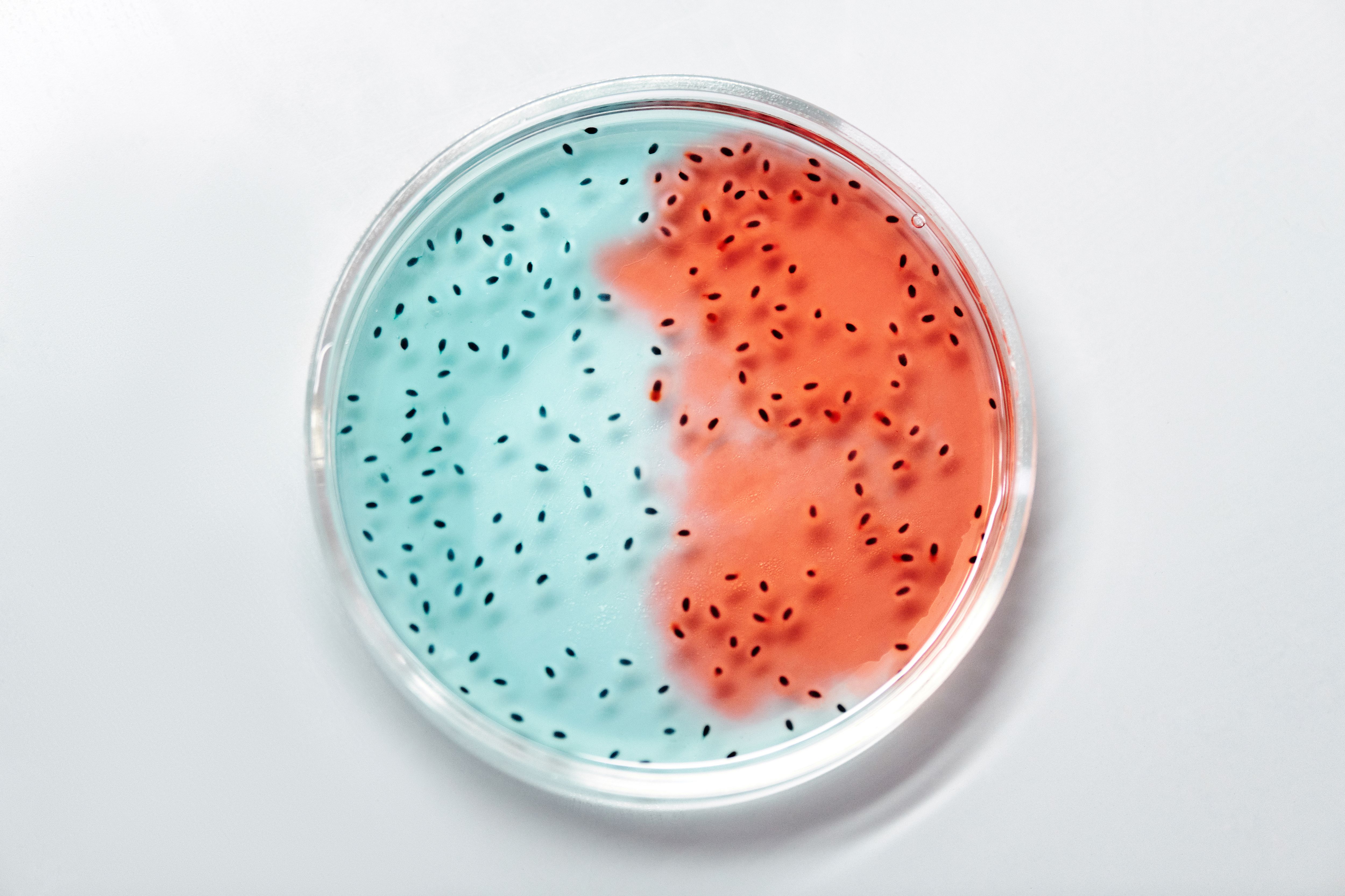 Microbiome — undefined