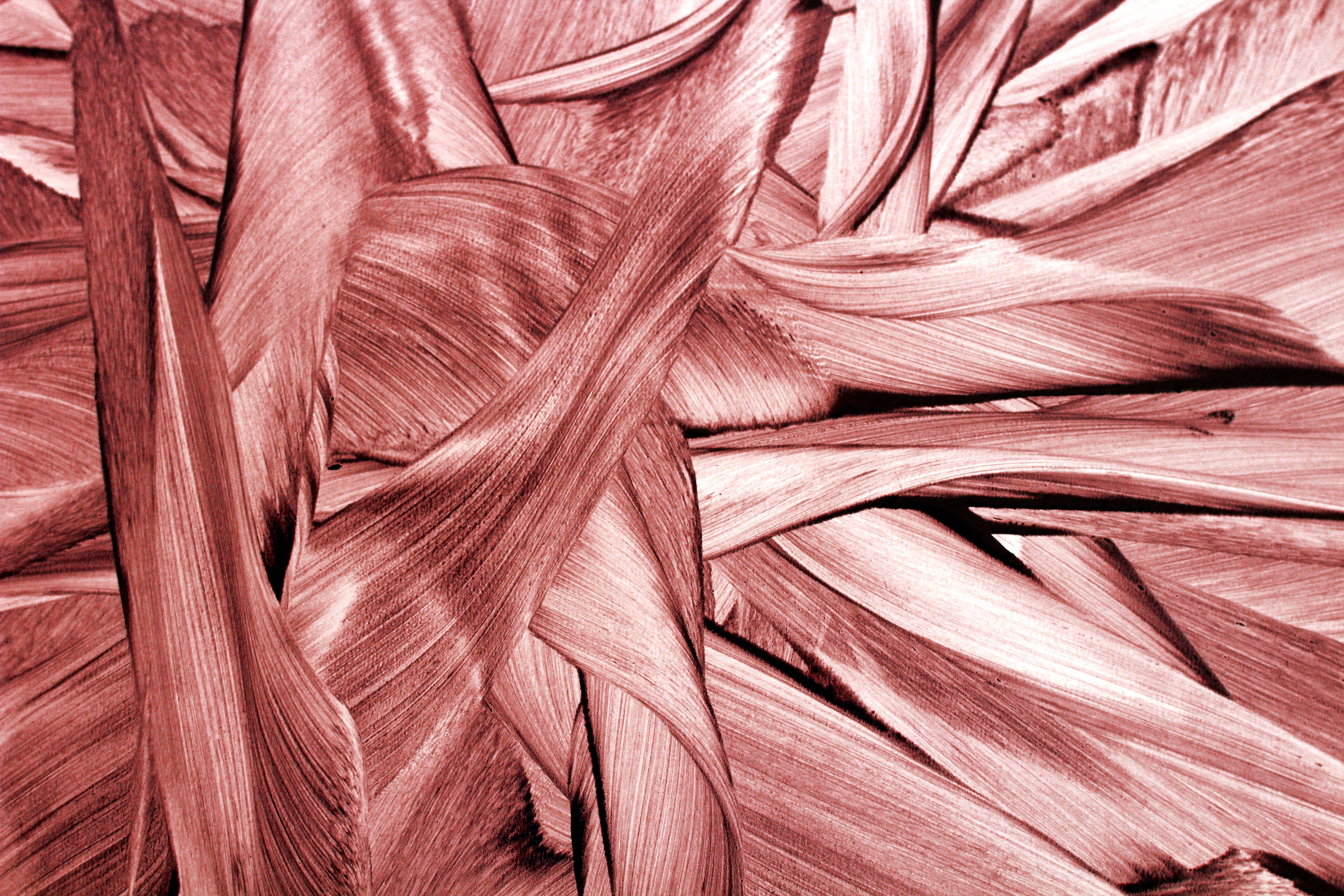 Muscle Mass — undefined